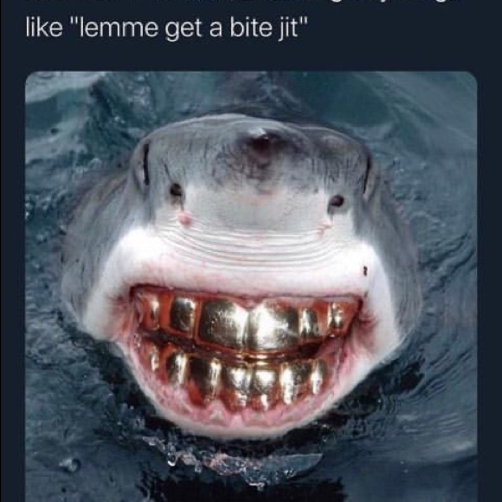 Meet your Posher, Dejerrick